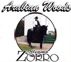 zorro11.jpg